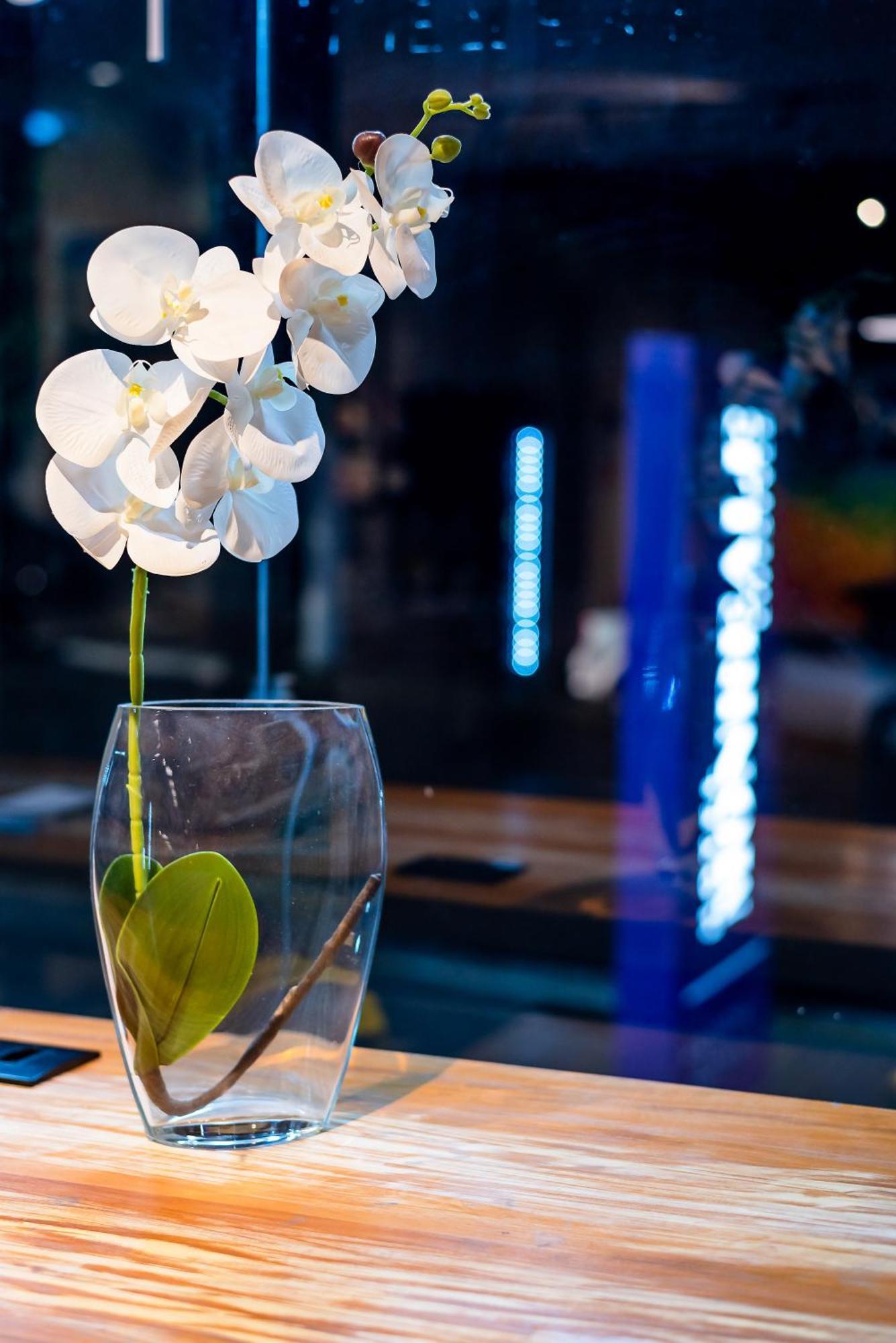 酒店 Monreale Lifestyle Higienopolis 圣保罗